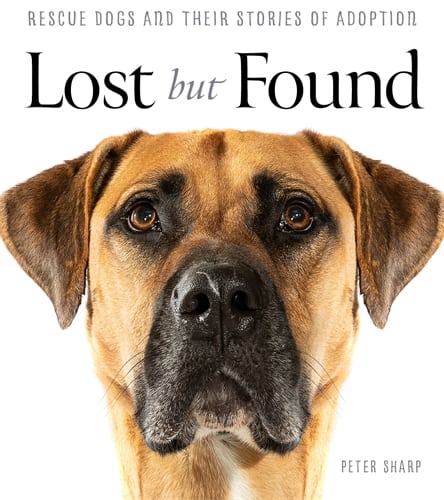 Peter Sharp: Lost But Found
