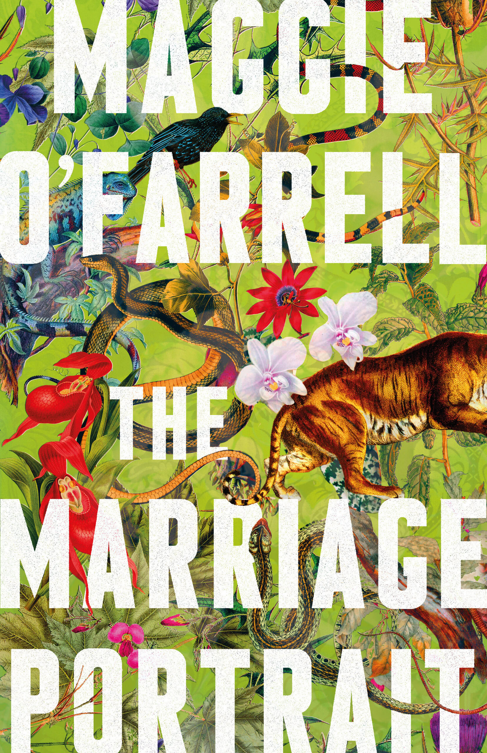 The Marriage Portrait By Maggie O Farrell Queensland Reviewers Collective